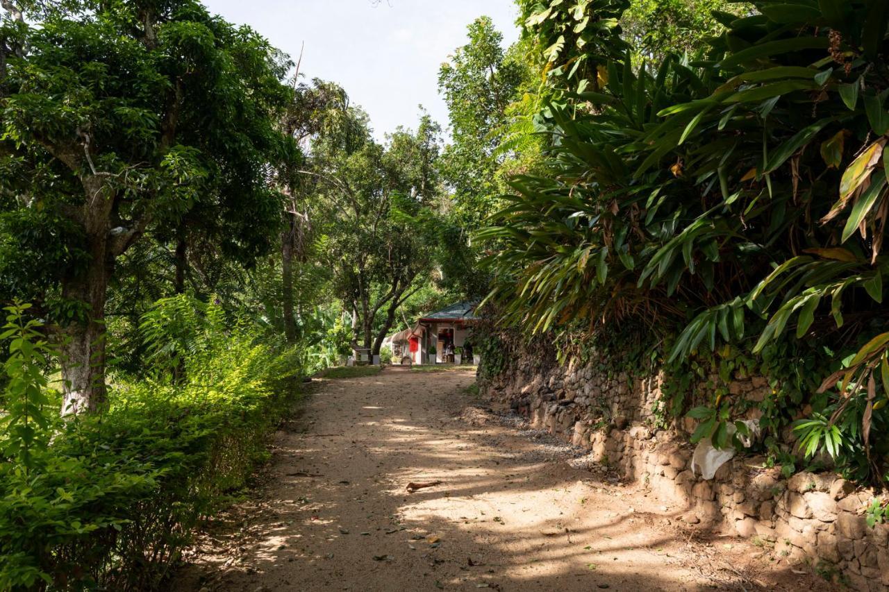 Roseland Cottages Bandarawela Εξωτερικό φωτογραφία