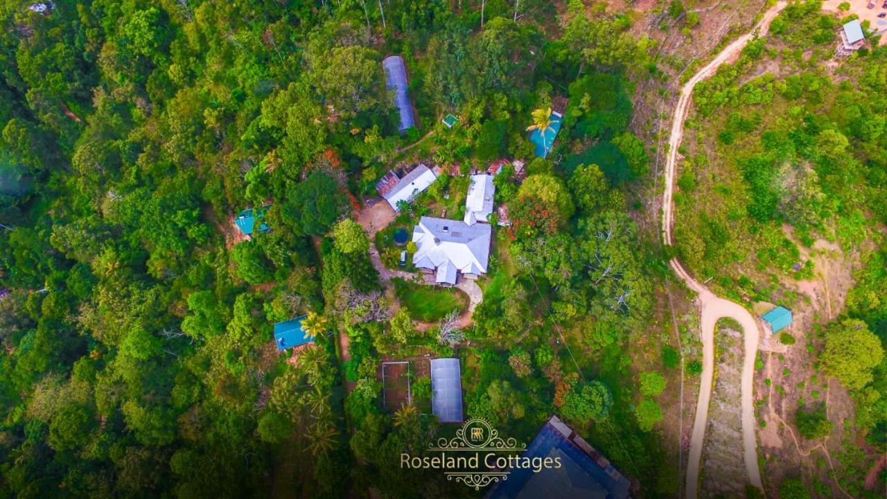 Roseland Cottages Bandarawela Εξωτερικό φωτογραφία