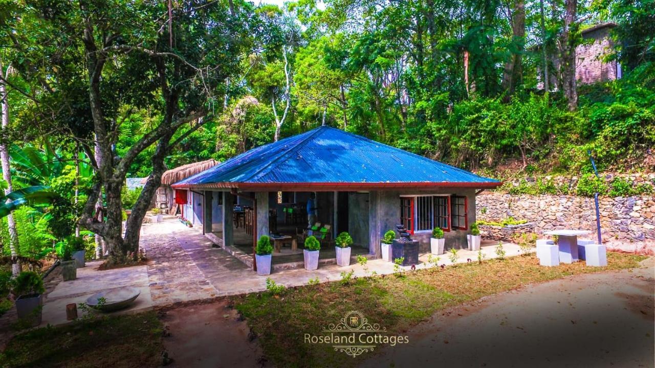 Roseland Cottages Bandarawela Εξωτερικό φωτογραφία