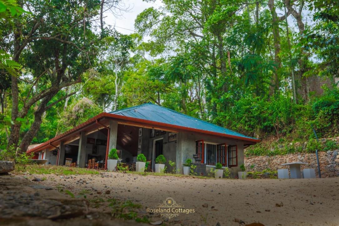 Roseland Cottages Bandarawela Εξωτερικό φωτογραφία